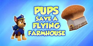 Pups Save a Flying Farmhouse