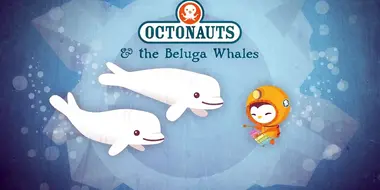 The Beluga Whales