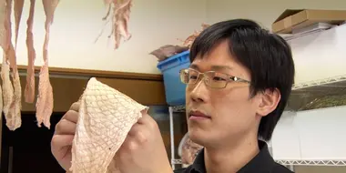 Upcycling Fish Scales into High-End Leather: Fish Leather Pioneer - Noguchi Tomohisa