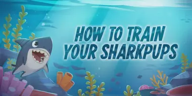 How to Train Your Sharkpups