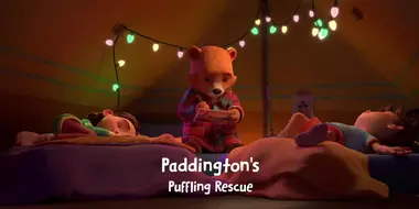 Paddington's Puffling Rescue