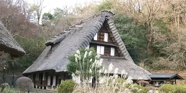 Traditional Homes