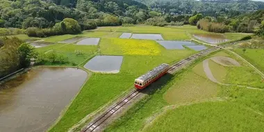 The Living Museum of Chiba