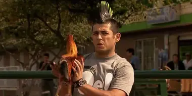 German and the rooster