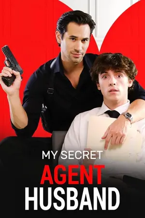 My Secret Agent Husband