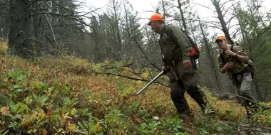 Straight Flush: Montana Mountain Grouse