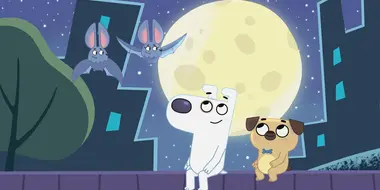 Dog Loves Night