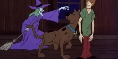 To Switch a Witch