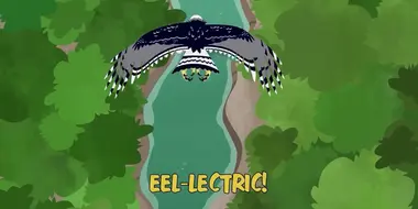 Eel-lectric!