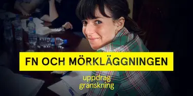 FN och mörkläggningen: Domen