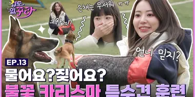 The biggest cowards ever?! Sakura and Eunchae try training special dogs🐶🔥