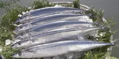 Sanma