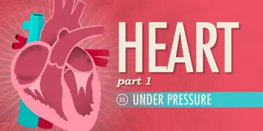 The Heart, Part 1 - Under Pressure