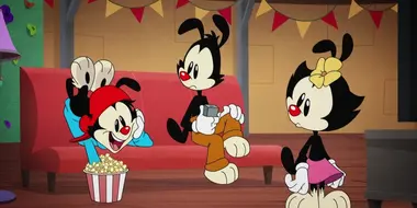 Yakko's Big Idea