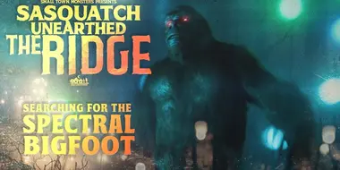 Searching for the Spectral Bigfoot