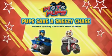Moto Pup: Pup Save a Sneezy Chase