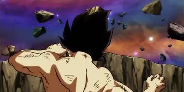With Noble Pride to the End! Vegeta Falls!