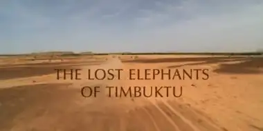 The Lost Elephants of Timbuktu