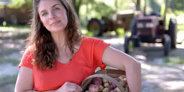 One Potato, New Potato
