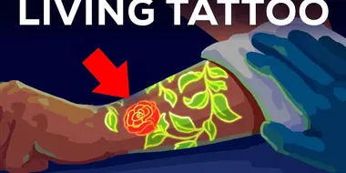 Your Tattoo is INSIDE Your Immune System. Literally