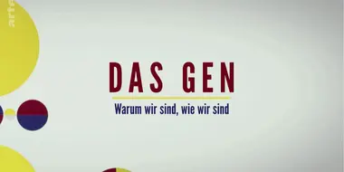 Warum wir sind, wie wir sind