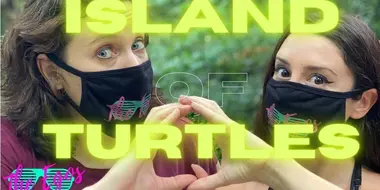 Island of Turtles