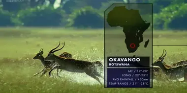 Okavango