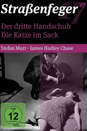 Die Katze im Sack