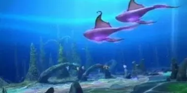 The Singing Whales