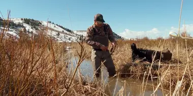 Trapped in History: Wyoming Beaver