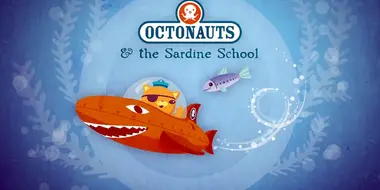 The Sardine School