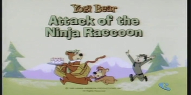 Attack of the Ninja Raccoon