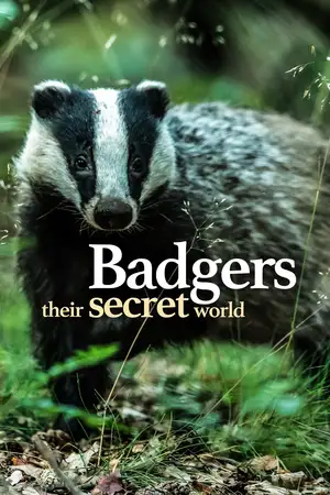 Badgers: Their Secret World