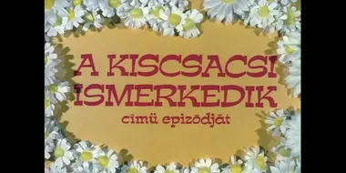 A kiscsacsi ismerkedik