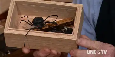 The Eleven Grooved Box