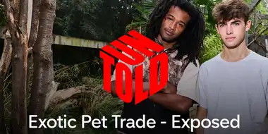 Exotic Pet Trade - Exposed