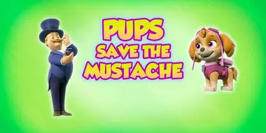 Pups Save the Mustache