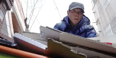 South Korea's Elderly Box Foragers