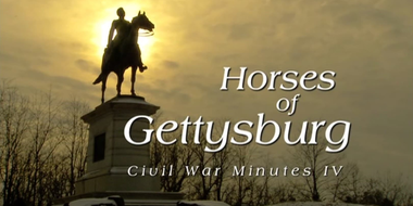 Horses of Gettysburg