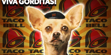 What Happened To The Taco Bell Chihuahua?