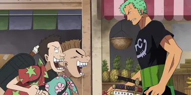 Mothers are Strong! Zoro's Hectic Household Chores!
