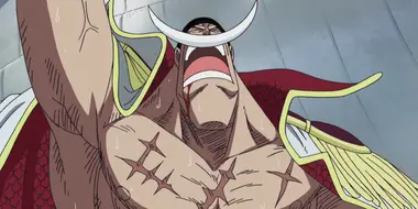 Moving into the Final Phase! Whitebeard's Trump Card for Recovery!