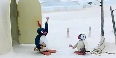 Pingu and the Doll