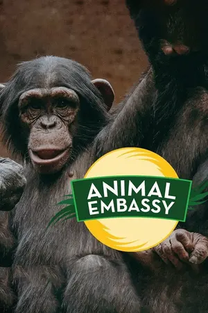 Animal Embassy