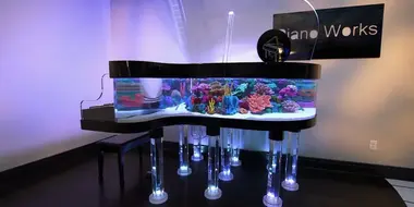 The Amazing Piano Tank
