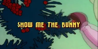 Show Me the Bunny