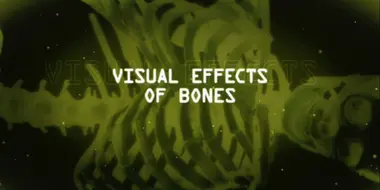 Visual Effects Of Bones