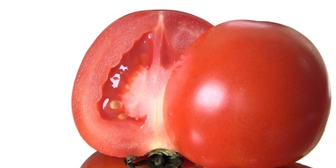 TOMATO