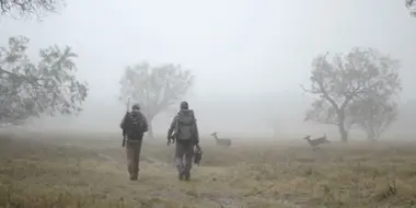 Lone Star Whitetails