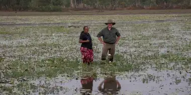 Kakadu Wetlands